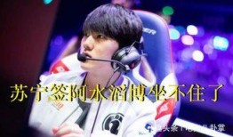 lpl转会期最新爆料fpx,最新爆料揭秘战队阵容大洗牌